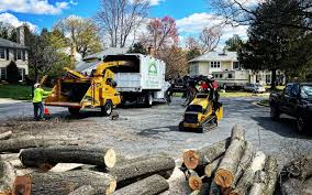 Reliable Hyde Park, UT Tree Removal and Landscaping Services Solutions